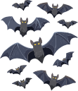 bats