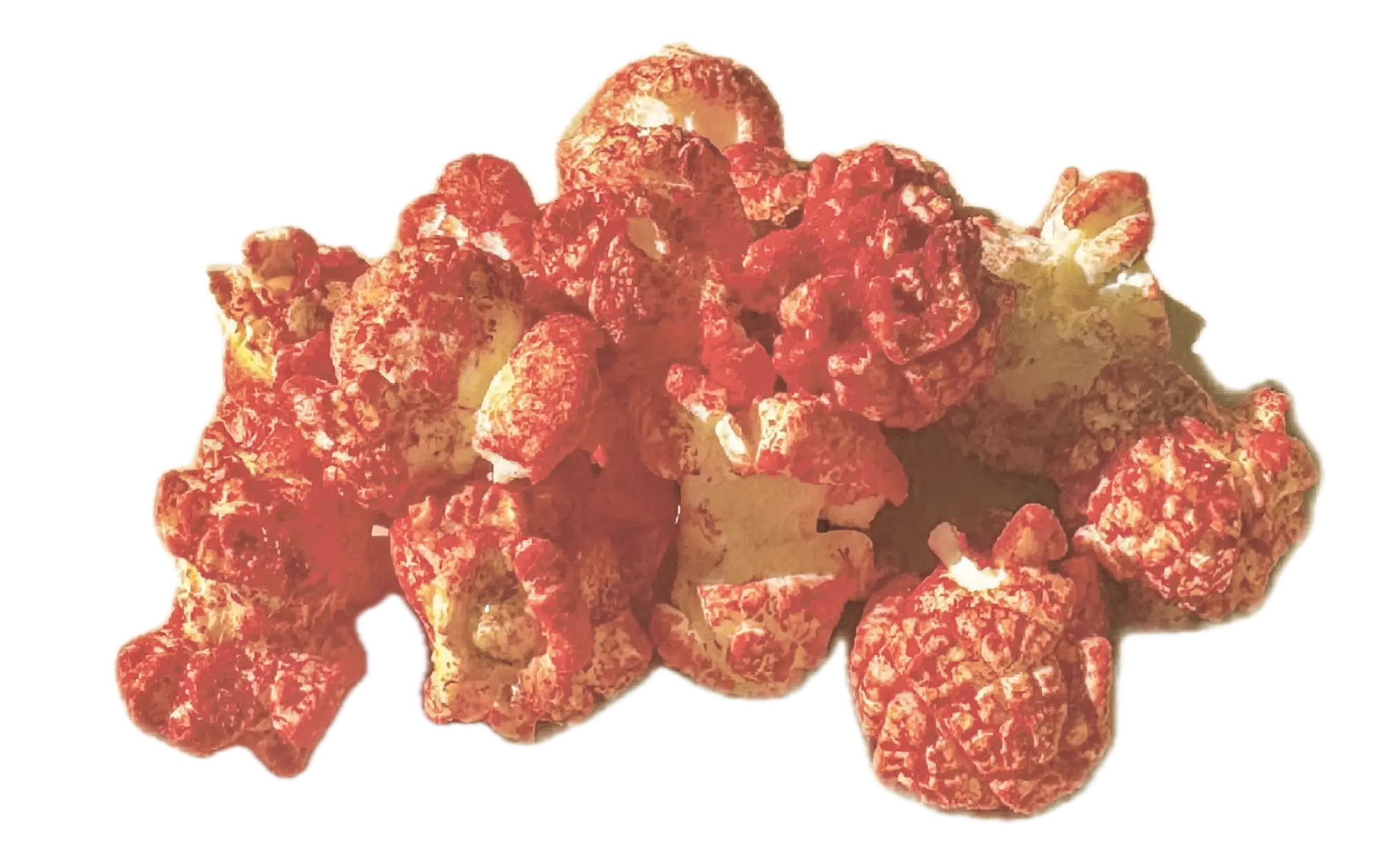 Blazin Vegas | Spicy Cheese