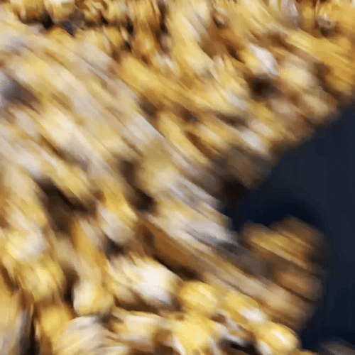 Golden popcorn kernels in a bowl.